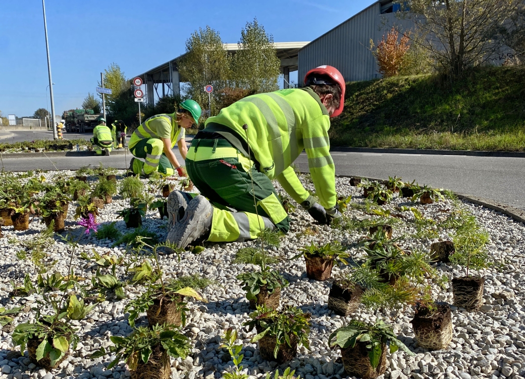 Dégrapage d'enrobé et béton pour retrouver la végétation